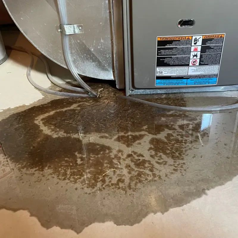 Pipe Burst and Leak Restoration in Downey, CA